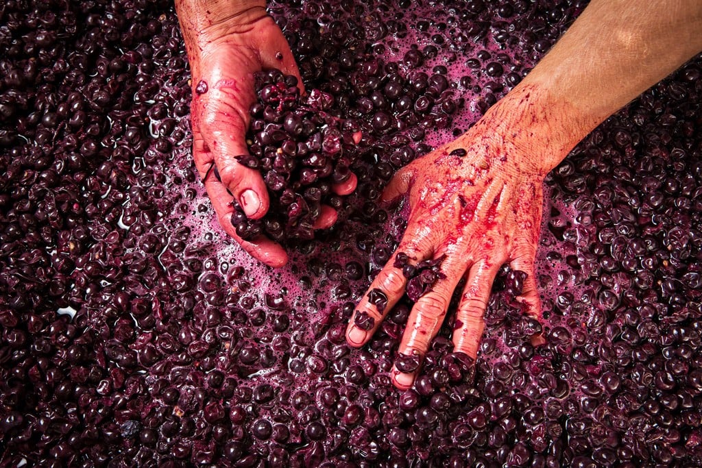 Ngeringa Vineyards Wine Making