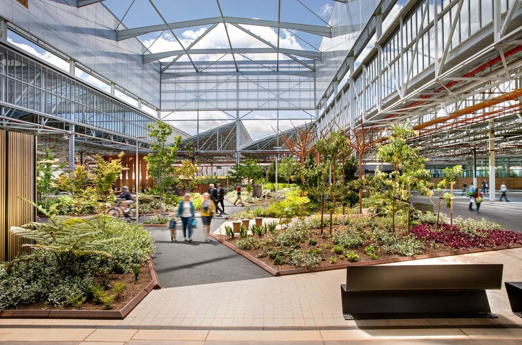 Tonsley Innovation District Garden Close Commercial Photographer Adelaide