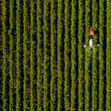 Kingstone-Estate-Sanctuary-Vines-Aerial-Drone-Photographer-Adelaide