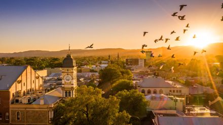 Norwood-Parade-Aerial-Drone-Photographer-Adelaide